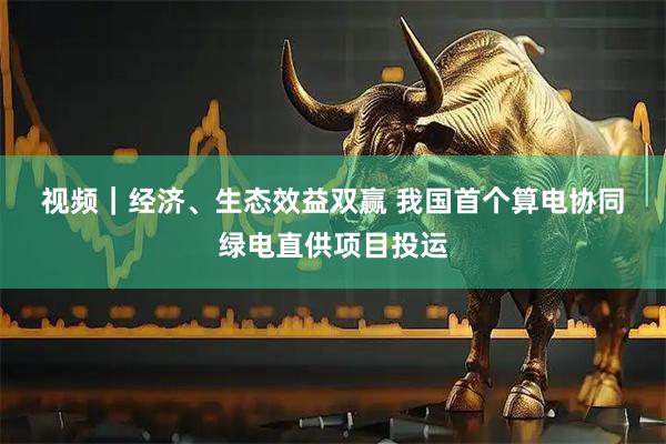 视频｜经济、生态效益双赢 我国首个算电协同绿电直供项目投运