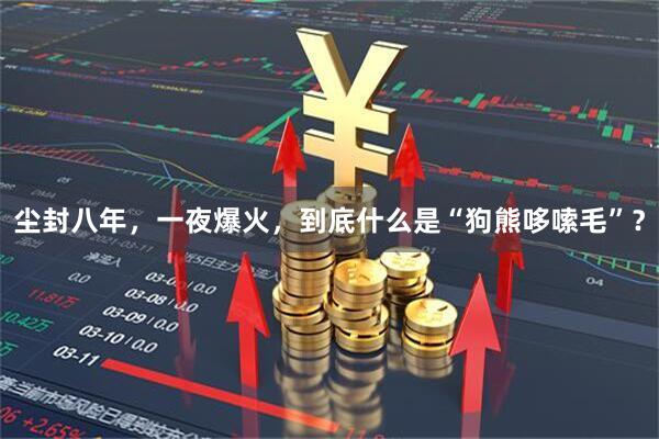 尘封八年，一夜爆火，到底什么是“狗熊哆嗦毛”？
