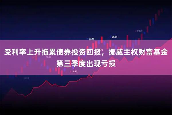 受利率上升拖累债券投资回报，挪威主权财富基金第三季度出现亏损